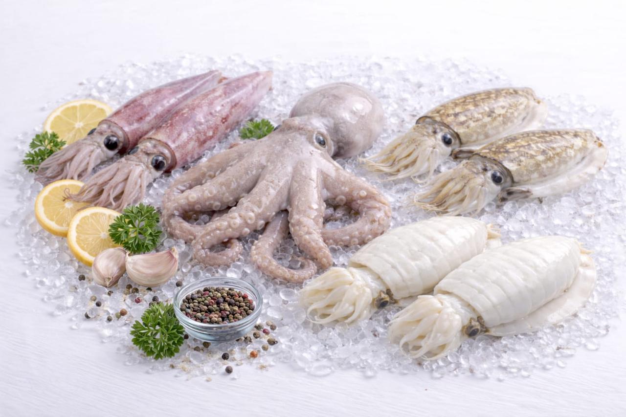 Sea Bass